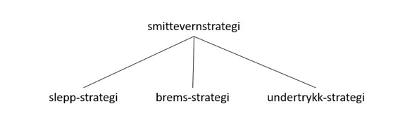 Figur: Omgrepsdiagram over smittevernstrategi og underomgrep